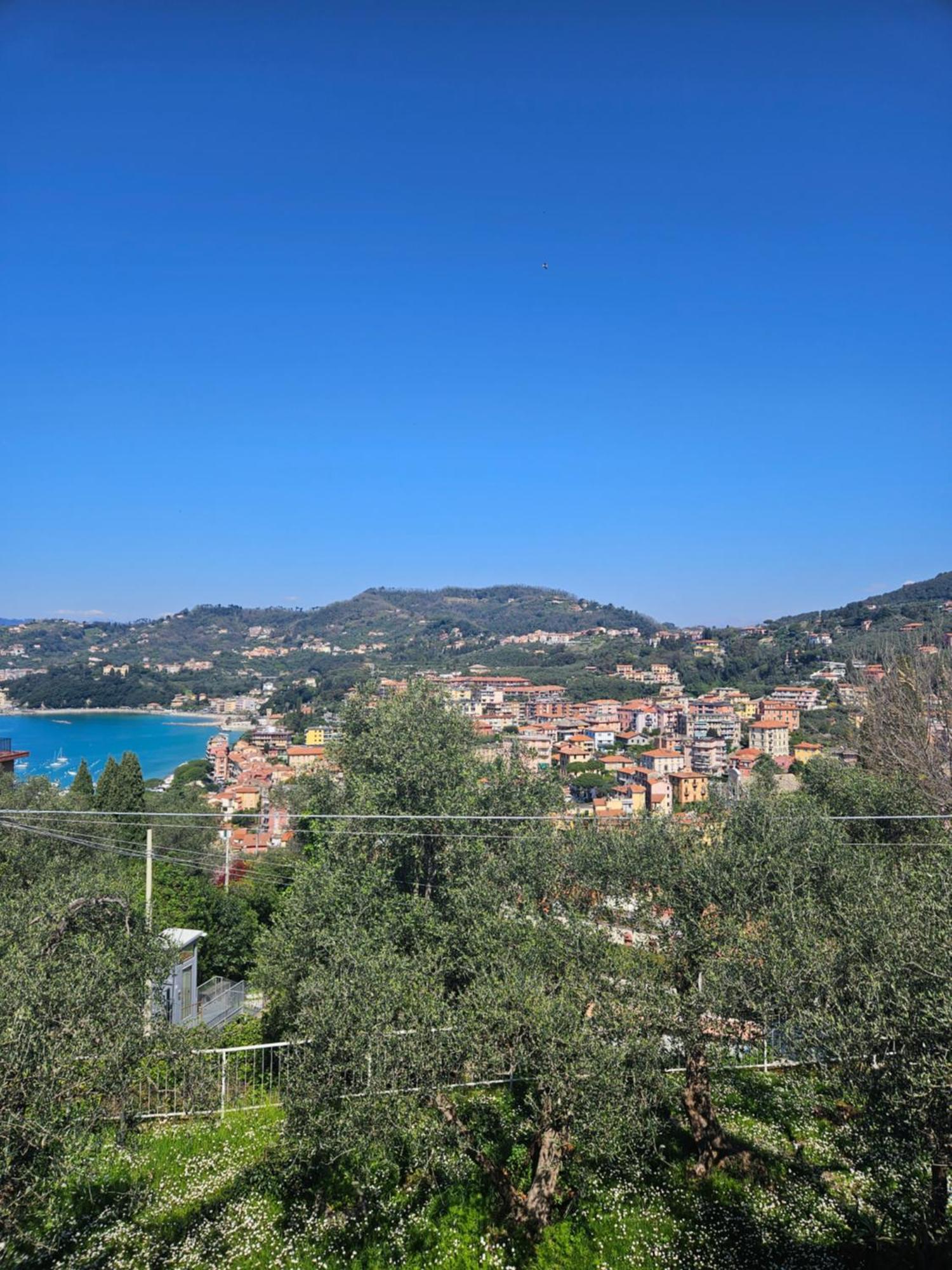 Villa Degli Ulivi - Free Parking Леричи Экстерьер фото